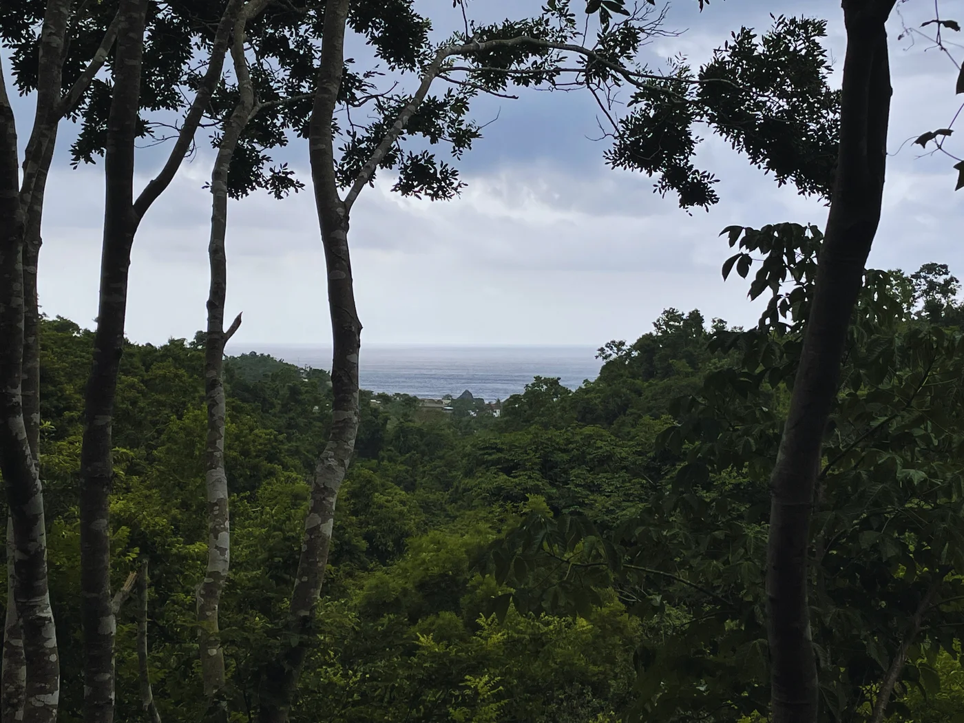 Vista a la costa