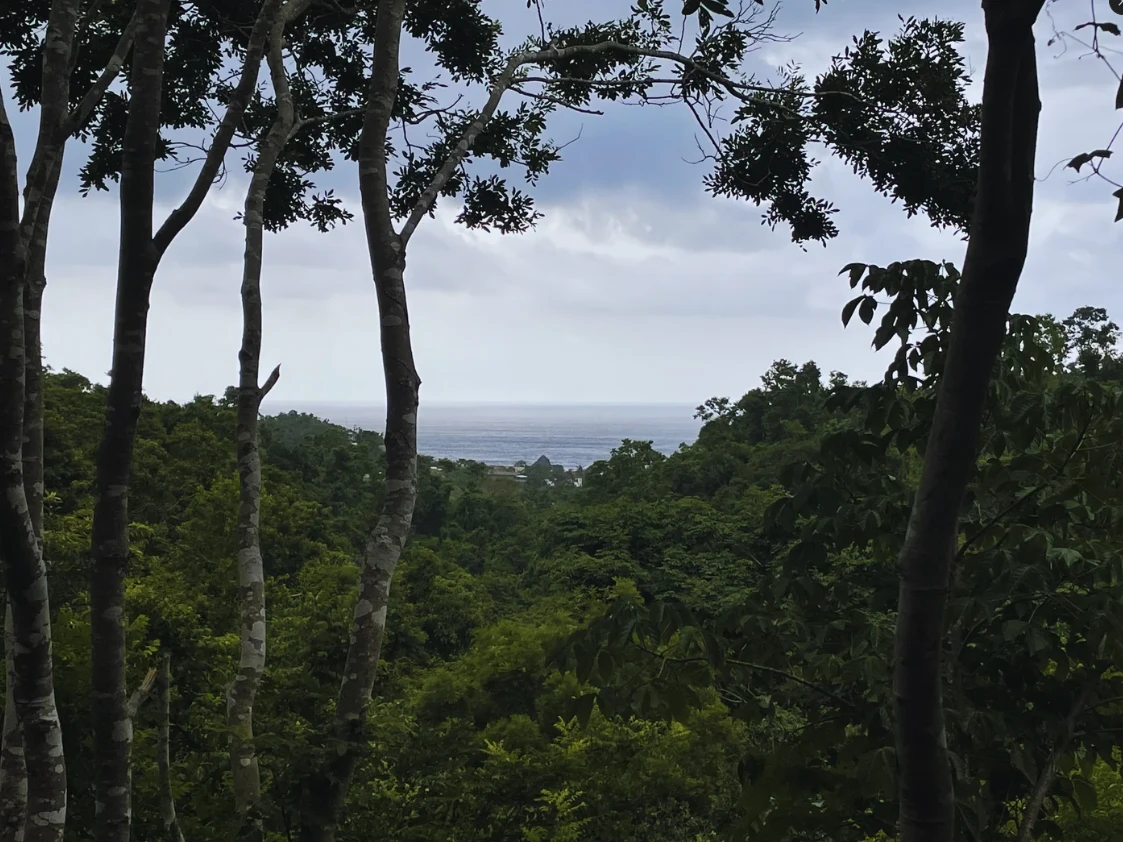 Azimut — vista al Pacífico desde la selva